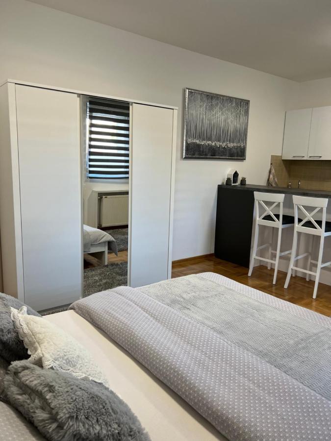Centar Ns2 Apartment โนวีซาด ภายนอก รูปภาพ