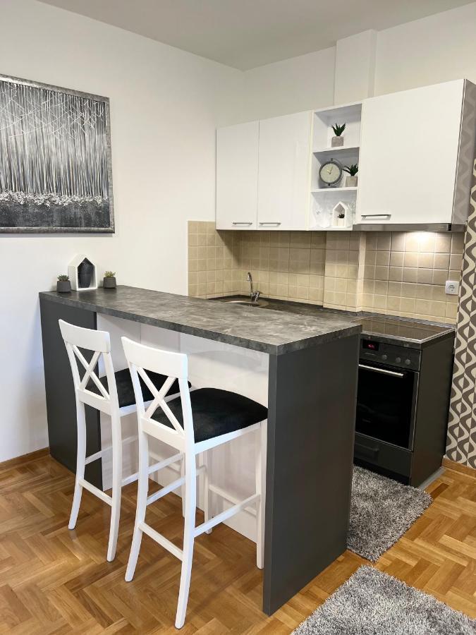 Centar Ns2 Apartment โนวีซาด ภายนอก รูปภาพ
